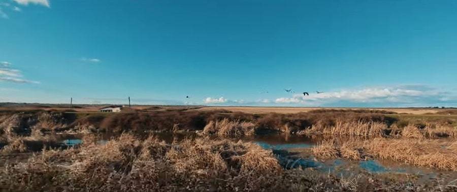 A Gathering Flock Tourists Flock to Kizilirmak Delta Bird Sanctuary